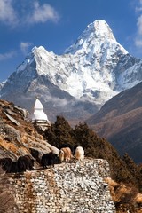 View of Ama Dablam with stupa and caravan of yaks
