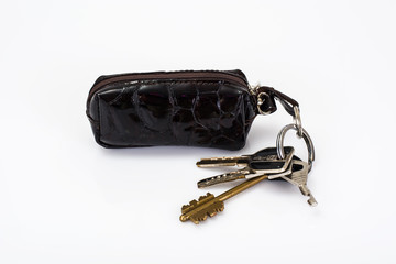 Keychain with leather case