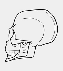 Hand drawn black and white skull