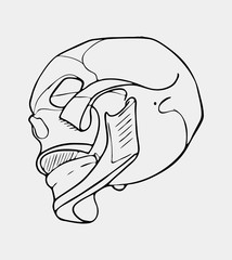 Hand drawn black and white skull