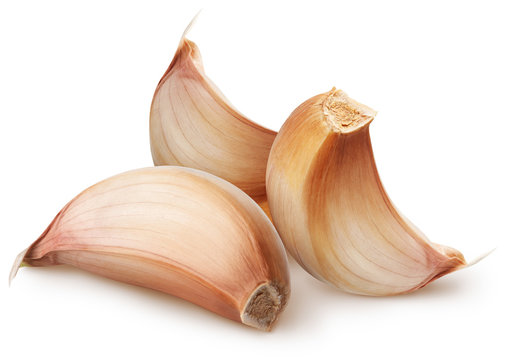 Isolated garlic. Raw garlic segment isolated on white background, with clipping path