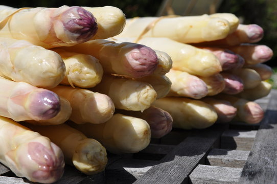 Asperges d'Alsace