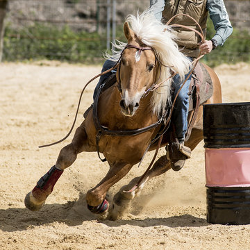 Fototapeta équitation western, épreuve de barrel racing