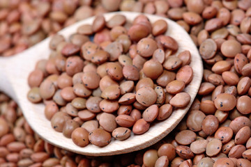 Brown lentils in a spoon