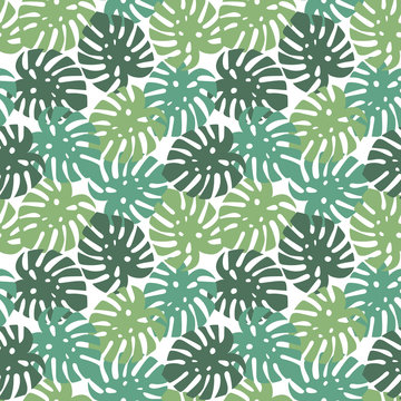 monstera turquoise, light green and dark green leaves tropical summer paradise pattern on a white background seamless vector