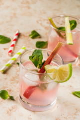 Summer refreshing drink, cocktail. Homemade organic mojito or lemonade with rhubarb, mint and lime. On a light stone table, in glasses and a bottle. Copy space 