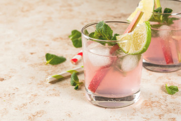 Summer refreshing drink, cocktail. Homemade organic mojito or lemonade with rhubarb, mint and lime....
