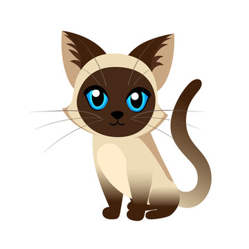 Siamese cat the Lovely kitten with blue eyes fluffy on a white background spotty a pet Cat breeds cute pet animal set vector illustration