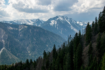 Obraz premium Ausblick auf die Alpen mit einem Wald im Vordergrund bei bewölktem Wetter