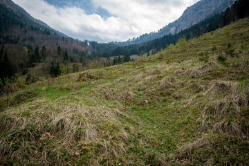 Blick  auf die Berge bei bewölktem Wetter mit einer Wiese im Vordergrund