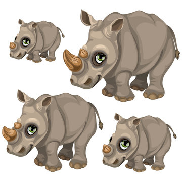 Cute rhino with green eyes. Vector animals