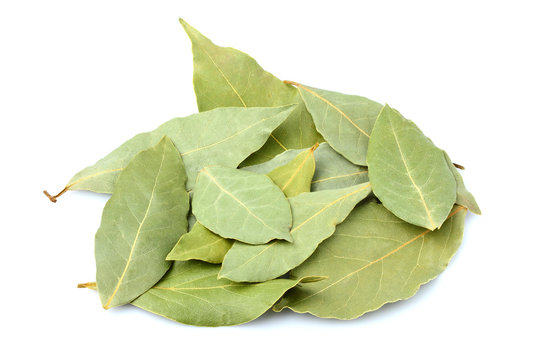 Spices dry bay leaves isolated on white background.