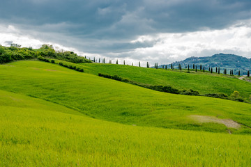 Naklejka premium Panorama of Volterra's lands and hills in the spring