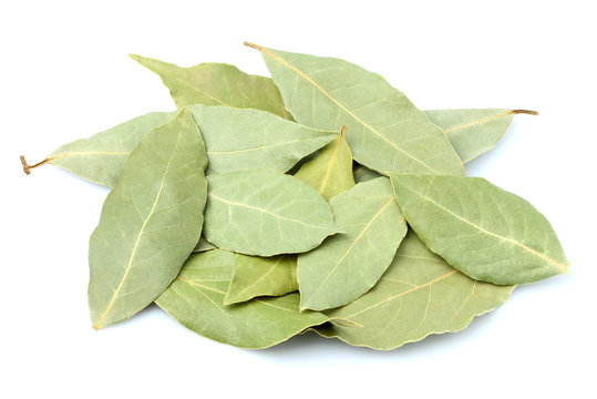 Spices bay leaves isolated close-up.