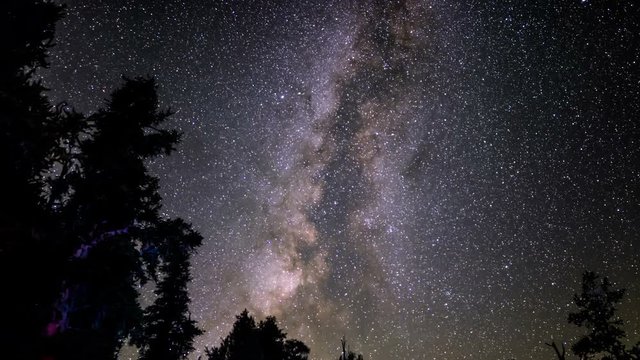 Bristlecone Pine Milky Way Galaxy Dolly Pan 04 Time Lapse Stars