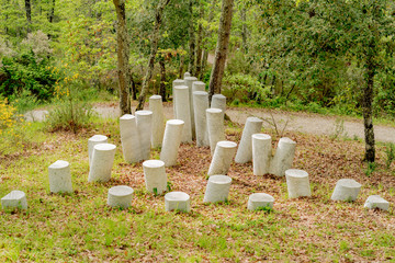 Chianti sculpture park