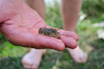 The little fish in the hand of the fisherman