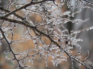 Cold Winter Day