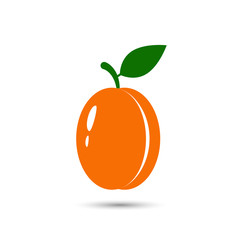 Apricot with leave icon, vector isolated illustration.