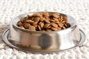 Dog food, cat food, pet food on white background