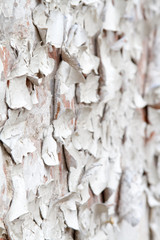 Vintage background texture of old brick masonry on ancient cement with cracks with traces of old paint.