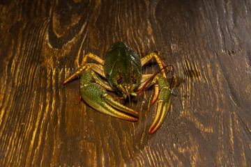 Live crawfish on a wooden board