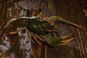 Live crawfish on a wooden board