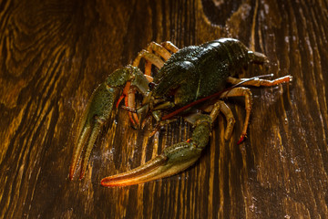 Live crawfish on a wooden board