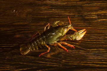 Live crawfish on a wooden board