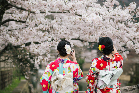 Women in kimono dress taking photo of sakura