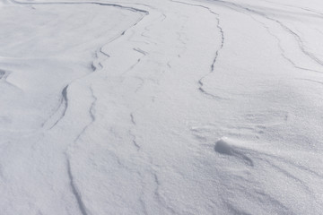 Wind blown snow