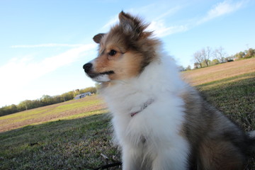 Mia Farm