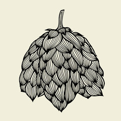 Fototapeta premium Beer hop illustration