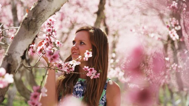 slow motion girl smelling pink blossoms in orchard