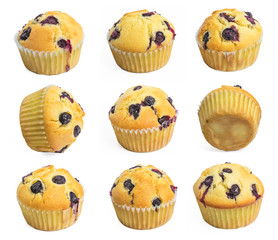 Blueberry muffin