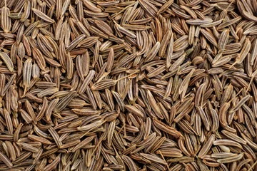 Fotobehang cumin seed dry aromatic spice, food background © tremasov_sergei