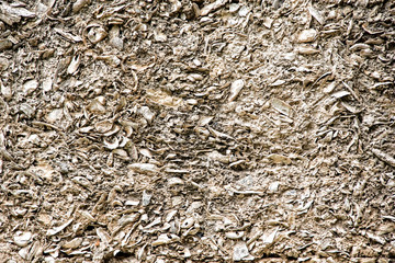 Close up of shell wall with natural colors