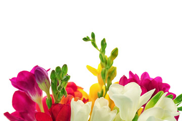 Beautiful freesia flowers on white background, closeup - obrazy, fototapety, plakaty