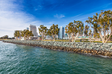 Fototapeta na wymiar Eucalyptus trees line the edge of Embarcadero Park South in downtown San Diego, viewed from San Diego Bay. Convention Center and hotels in the background