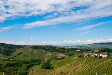 Fototapeta premium Colline delle Langhe