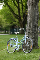 Retro Bicycle and nature