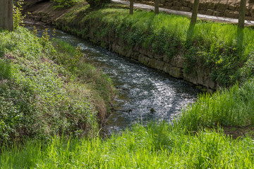 River in Europe running in a curve with green grass as trees