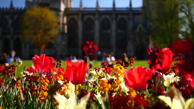 Bristol Cathedral & College Green Tilt Shot to Beautiful Flowers