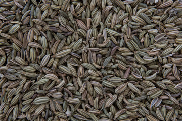 Whole Fennel Seeds