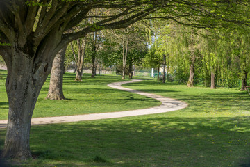 Sinuous path on an idyllic spring european park with green lawn and beautiful old trees