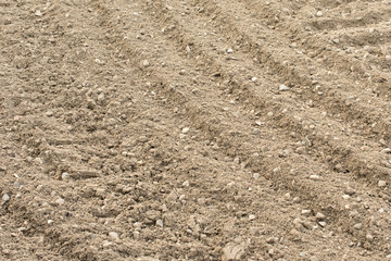 Graded Gravel Path