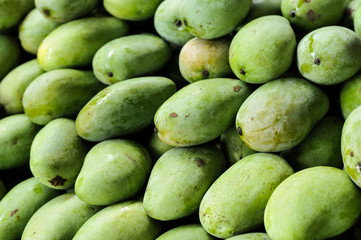 Group of Green mangoes, tropical fruits, Thailand