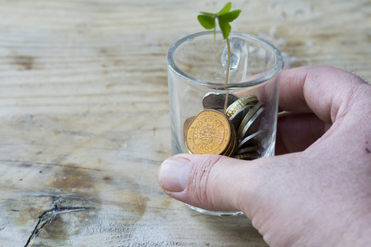 Plant Growing In Savings Coins