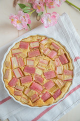 Rhabarber Kuchen 