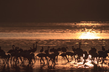 Sunrise in Nakuru. Kenya, Africa